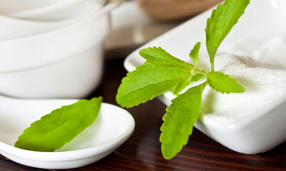 The Benefits And Disadvantages Of Including Stevia In Your Daily Diet