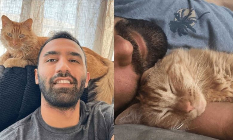Man Proves How Adopting a Cat Is Therapeutic