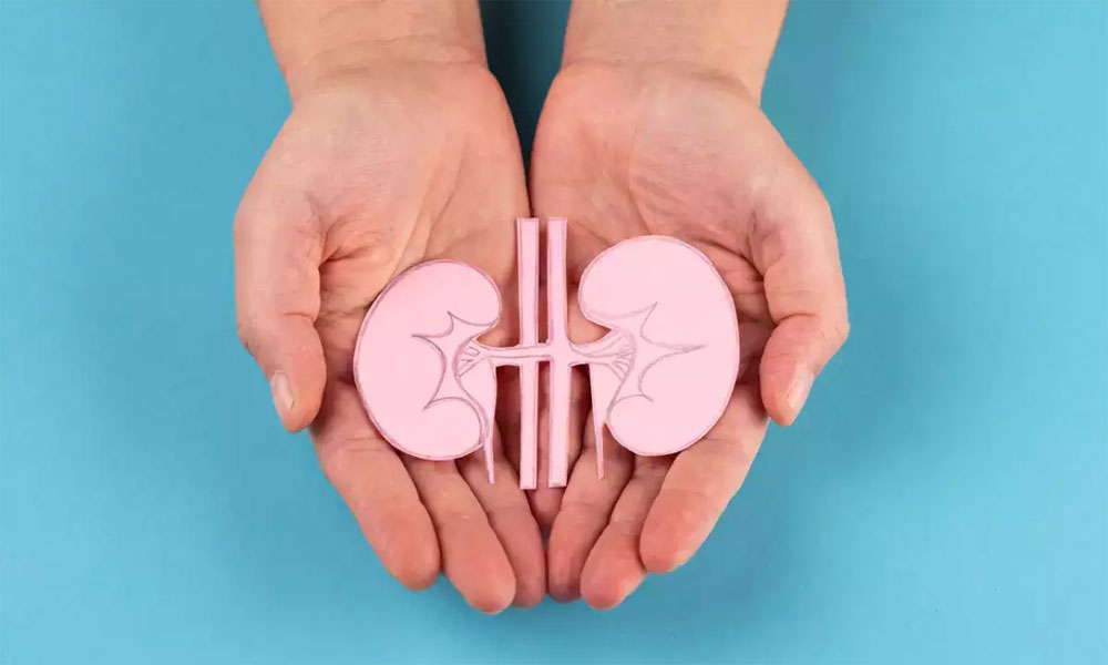 10 Signs You May Have Kidney Disease