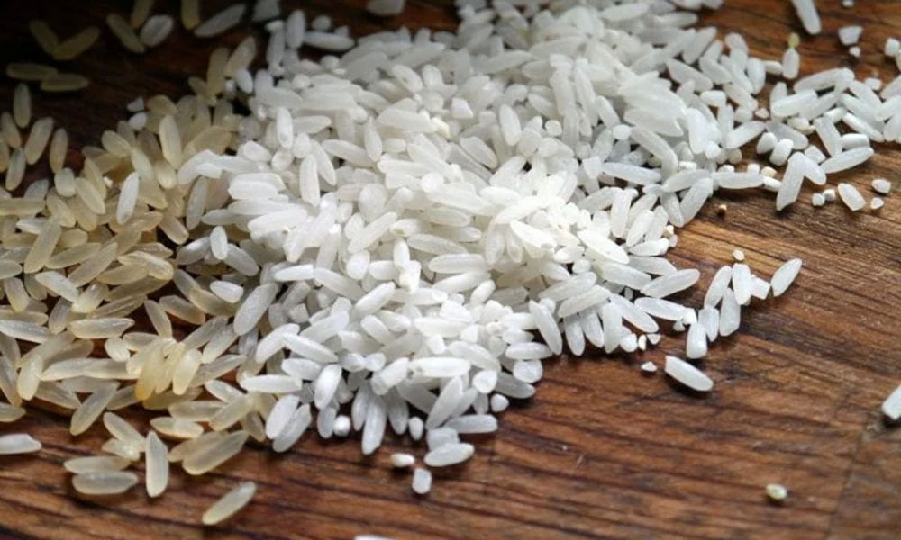 This Rice Experiment Is Proof: The Power of Positivity Alters Our Physical World