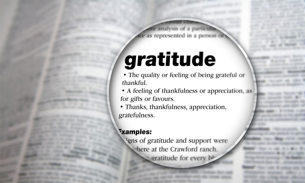 15 Gratitude Quotes That Will Make You Happy All Day