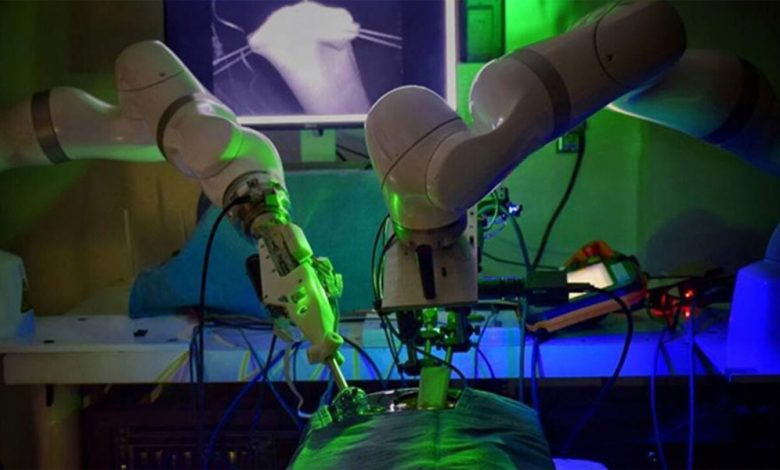 Robot Surgeon Performs a Successful Laparoscopic Surgery