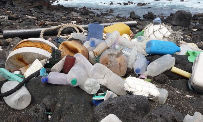 Environmentalists Sound Alarm on Plastic Pollution Growth – When Is Enough Enough?