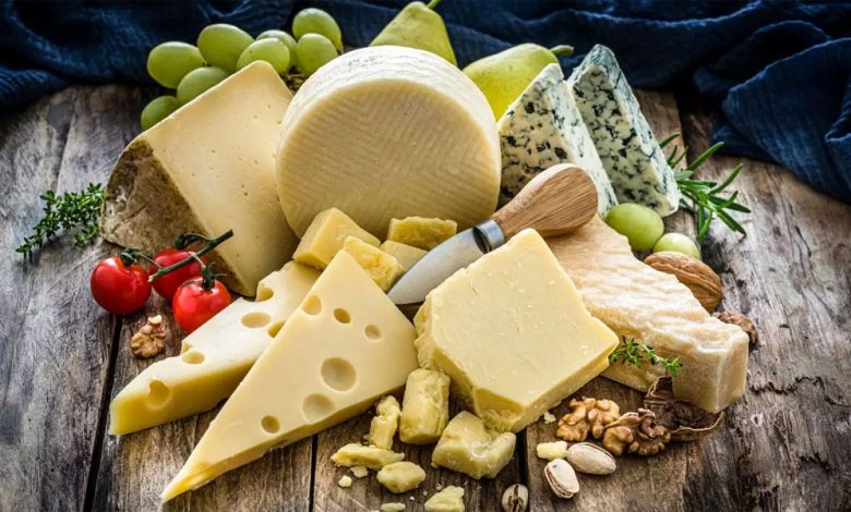 Iowa State University Scientists Say “Eat More Cheese” for Brain Health