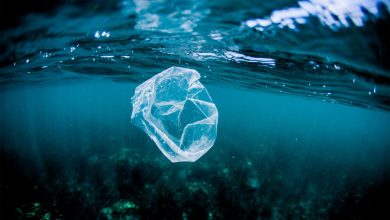 Why You Should Stop Using Plastic